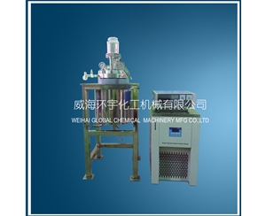 5L high pressure low temperature reactor